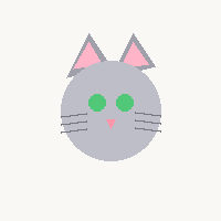 小猫原图
